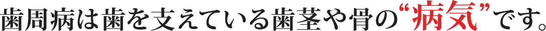 歯周病は歯を支えている歯茎や骨の病気です。